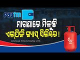 Special Story | Get Free LPG Gas! Know The Detailed Procedure | Book Gas On Paytm