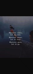 | Worth Watching | Let It Happen |