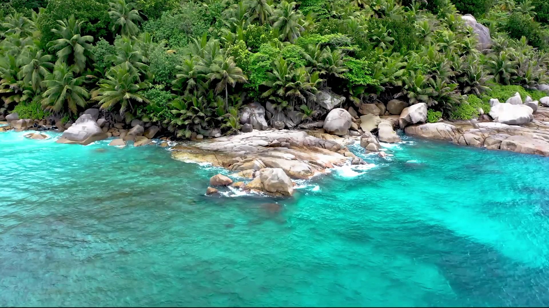 ⁣Tropical beach relaxation video - Relaxing Sounds CalmOceanWaves & Singing Birds
