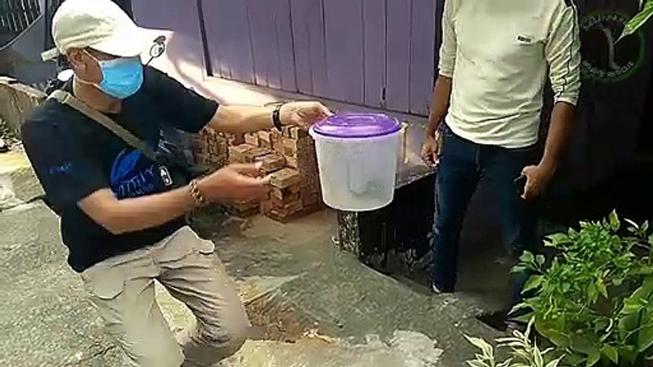 Para Pahlawan Ular