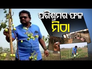 Hard Work Always Pays Off | Odisha Farmer Sets An Example