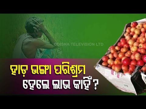 Anandapur Farmers Resort To Distress Sale Of Tomato