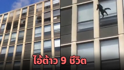 แมวดำโดดตึก 5 ชั้น หนีไฟไหม้ มนุษย์ร้องกรี๊ด หัวใจจะวาย แต่น้องแลนดิ้งอย่างเริด