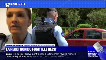 Download Video: Cévennes: pour la porte-parole de la Gendarmerie Nationale, la reddition du fugitif  