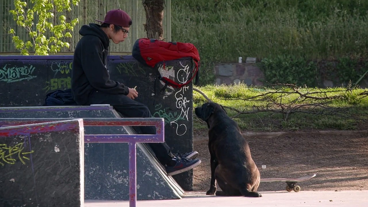 LOS REYES KÖNIGLICHE STREUNER Film