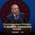 Cumhurbaşkanı Erdoğan'ın muhtarla gülümseten 'göbek' diyaloğu