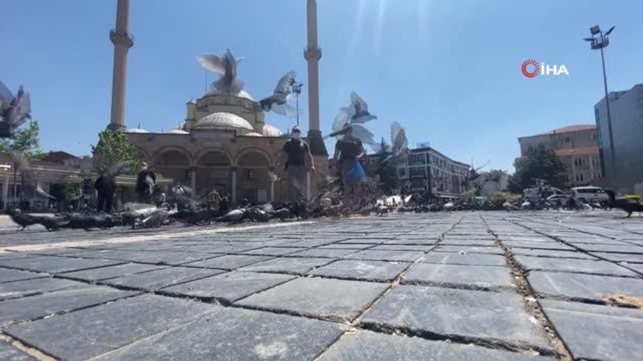 - 'Haydi' tam kapanmada sokak hayvanlarının yanında