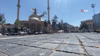 - 'Haydi' tam kapanmada sokak hayvanlarının yanında