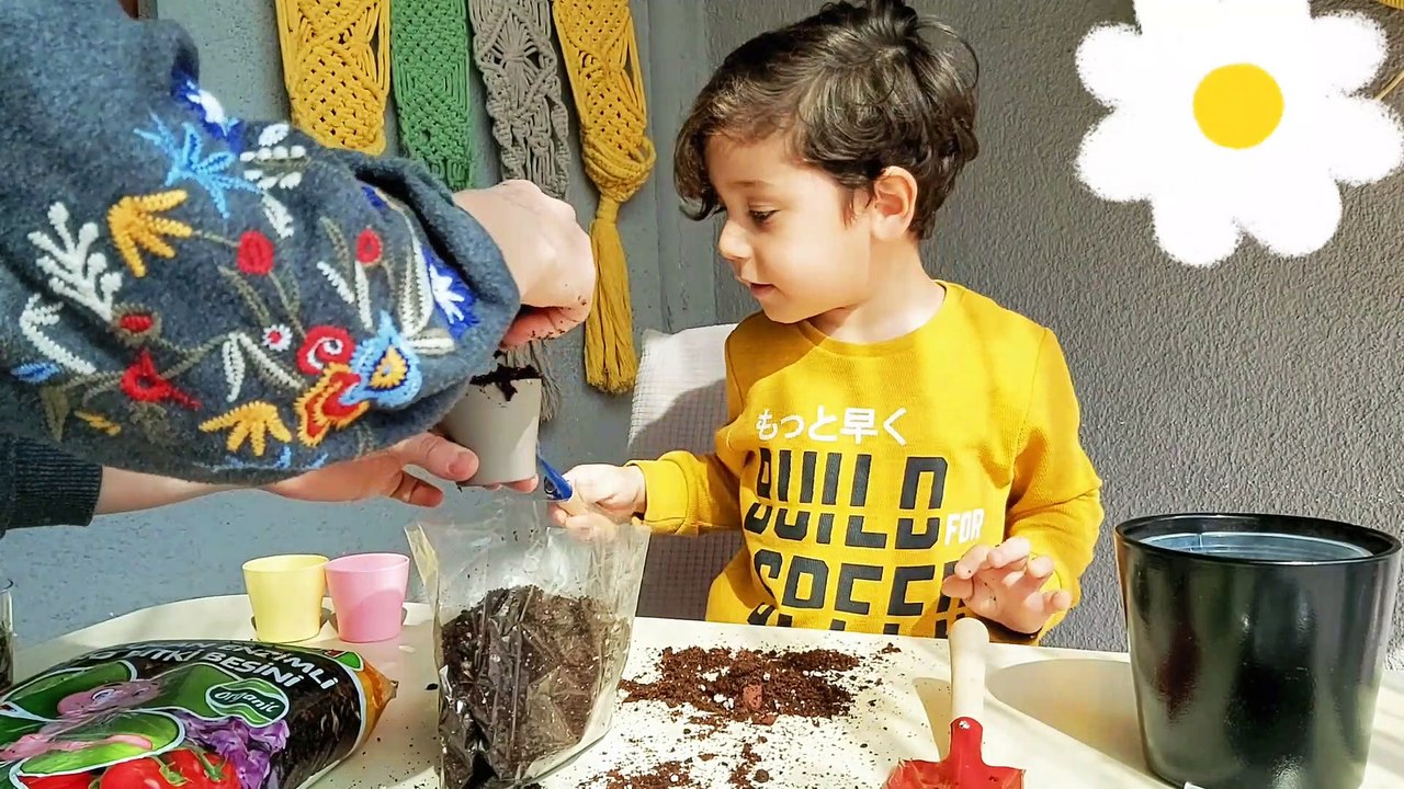 Let's Plant Flowers | Hadi Çiçek Dikelim | Eğlenceli çocuk videoları | Çocuk videosu | #Çiçekdikiyoruz #