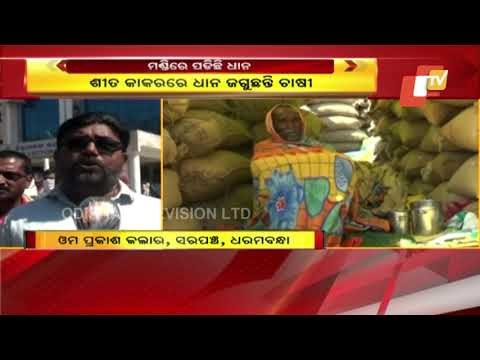 Paddy Procurement | Mandi Issue Continues To Haunt Farmers In Odisha