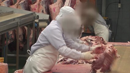 육가공 업체 '집단 감염' 외부 확산..."공용 작업장서 번져" / YTN