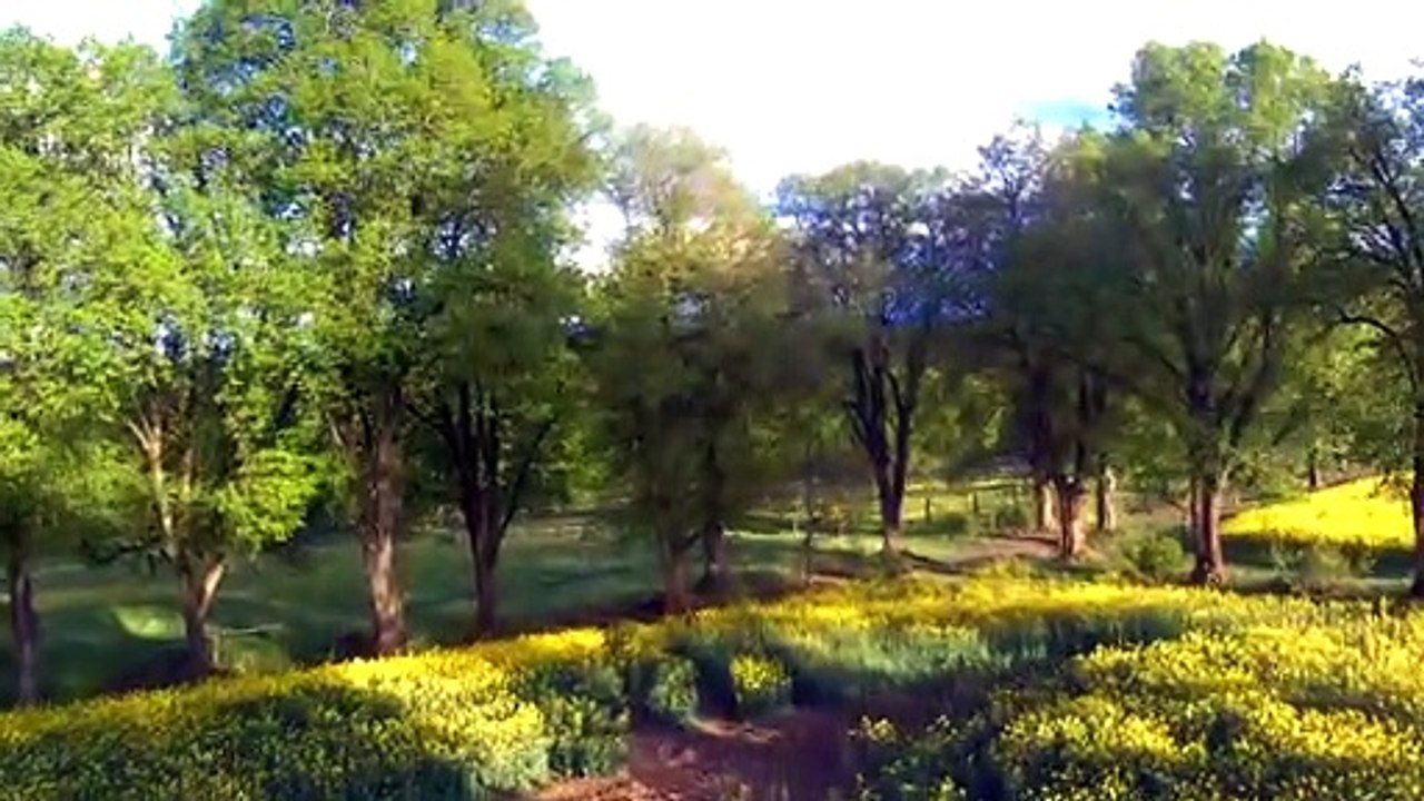 Raps und Berge Mai 2021