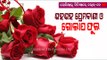 Valentine Week Special | Fall In Love Once Again As Valentine Week Kicks Off With Rose Day