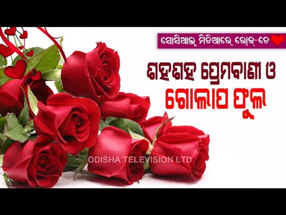 Valentine Week Special | Fall In Love Once Again As Valentine Week Kicks Off With Rose Day