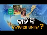 Why Is Andhra Pradesh Eyeing Odisha’s Kotia | OTV’s Ground Report