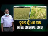Special Story|Sugar Free Rice Farming For Diabetics- Former IAF Officer TurnsFarmer In Jagatsinghpur