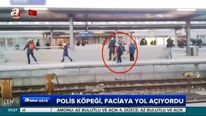 Polis köpeği kadını raylara düşürdü!
