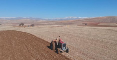 BAYBURTLU ÇİFTÇİLERİN BAYRAMDA TARLA MESAİSİ