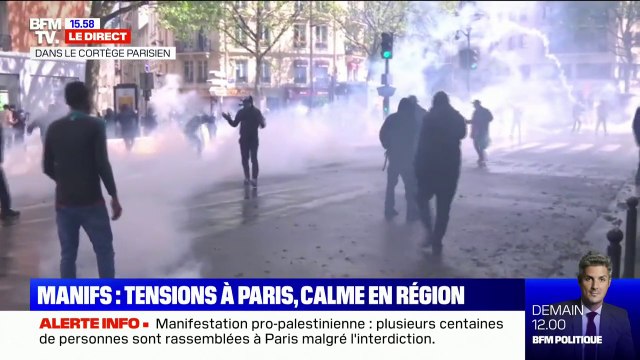 Manifestation pro-palestinienne interdite à Paris: les forces de l'ordre utilisent des gaz lacrymogènes pour disperser la foule