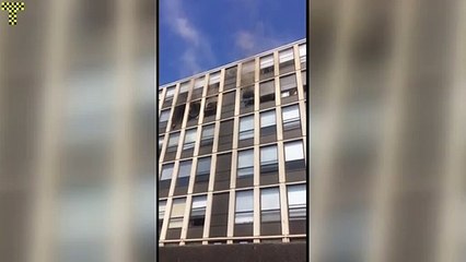 Un chat saute du 5e étage, atterrit sur ses pattes, puis file en courant
