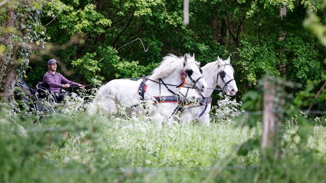 «La Route du poisson», la course de chevaux de trait entre Boulogne-sur-Mer et Paris fait son grand retour