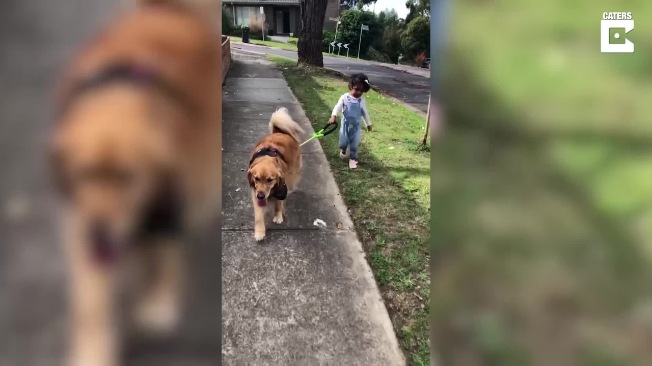 Zweijährige geht mit Familienhund Gassi