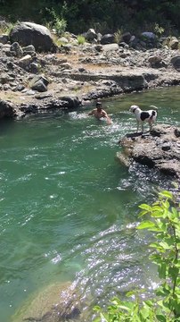 Guy Pretending to Drown Gets Help From His Dog