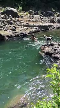 Guy Pretending to Drown Gets Help From His Dog