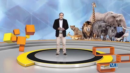 018. 017 - Theory- Elements of Design - Shape