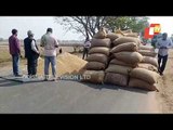 Farmers Block Road By Keeping Paddy Crops On Road In Bhadrak