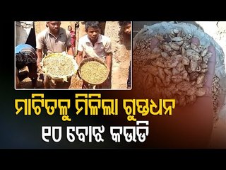 Ancient Shells Found From Ground In Nayagarh