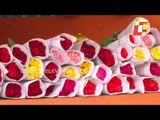 Importance Of Rose In Valentine's Week-OTV Report
