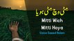 Poetry Poetry Mitti Wich Mitti Hoya By Saeed Aslam Punjabi Poetry WhatsApp Poetry TikTok status