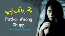 Poetry Pathar Waang Chupp By Saeed Aslam | Punjabi Poetry WhatsApp status | Poetry status TikTok