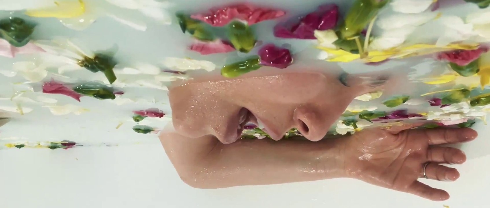 Manifiesto | Universo desAMORfosis