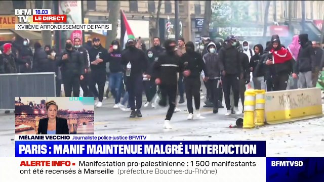 Manifestation pro-Palestine à Paris: des heurts pendant la dispersion - 15/05