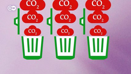 كيف يعمل الاقتصاد التداولي؟