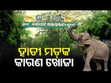 Odisha PCCF Visits Karlapat Sanctuary After 6 Elephants Die In 14 Days