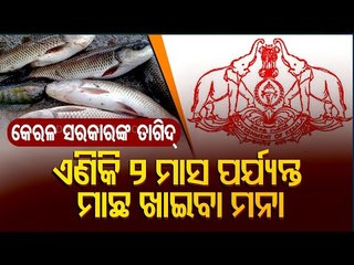 Kerala Govt Imposes Restriction On Fist Consumption And Buying