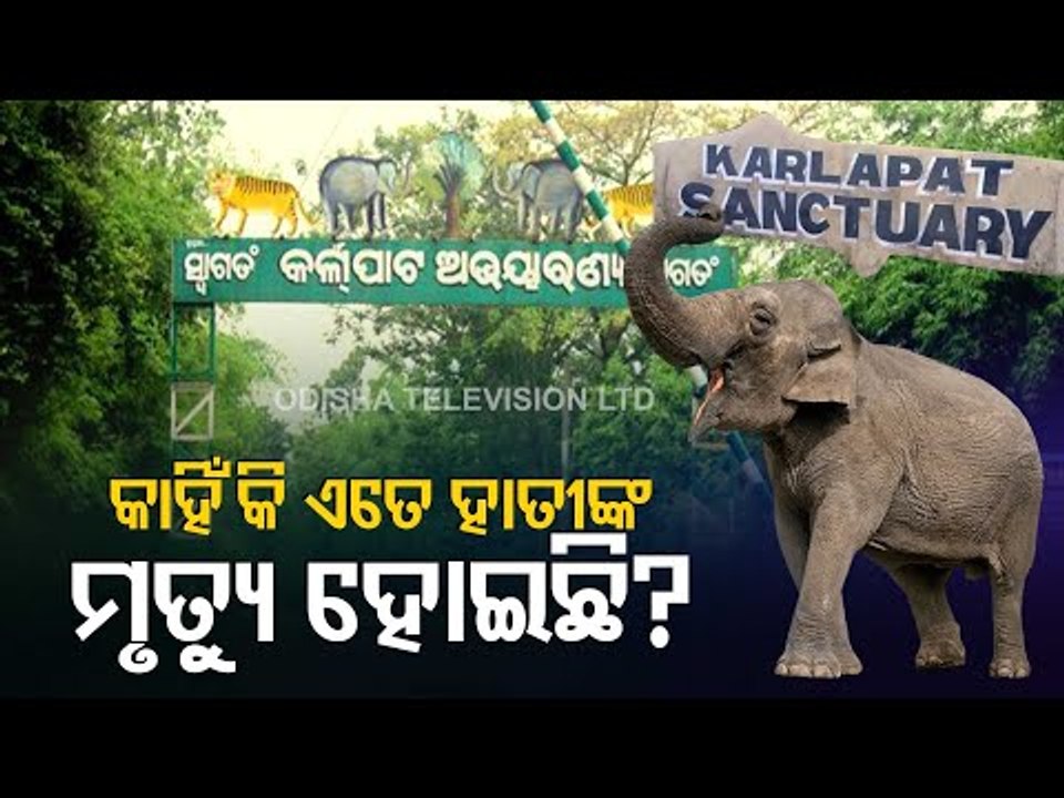 Govt takes measures to check elephant deaths in Karlapat