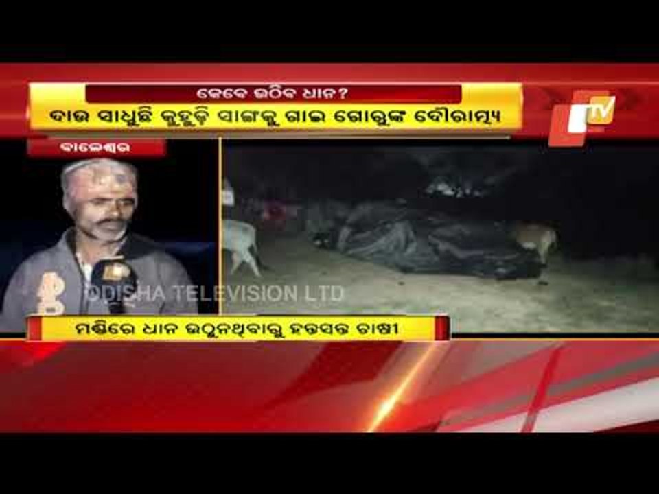 Paddy Procurement | Farmers Spend Sleepless Nights At Balasore Mandi