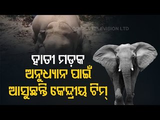 Central Team's Visit To Karlapat Today To Probe Into Jumbo Deaths