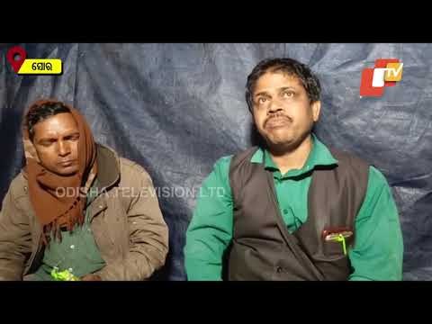 Quintals Of Paddy Gathering Dust At A Mandi In Balasore-OTV Report