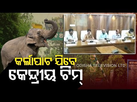 Karlapat Jumbo Death | 3-Member Expert Team To Visit Sanctuary Today