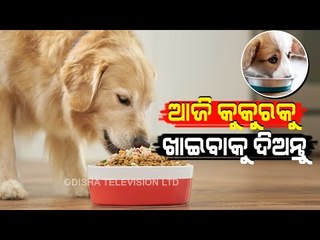 Bhagya Rekha - Know Your Horoscope For Today 20 February 2021 | OTV