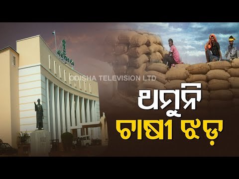 Paddy Procurement Issue Leaves Farmers High And Dry In Odisha