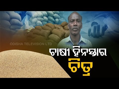 Mandi Mismanagement- Odisha Farmer Loses Life Before Paddy Procurement In Bargarh