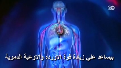 دواء دافلون 500 أقراص لعلاج النزيف و البواسير و الدوالى