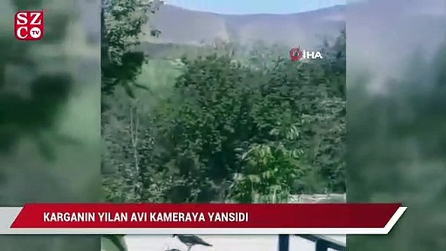 Karganın yılan avı kameraya yansıdı