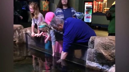 Funny Kids At The Aquarium | Girl Spooked By A Beluga Whale!